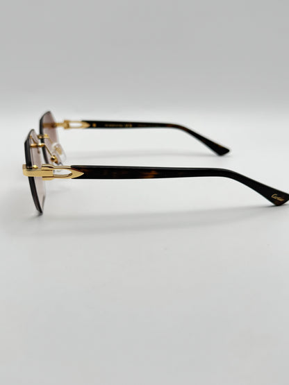 Acetate sunglasses