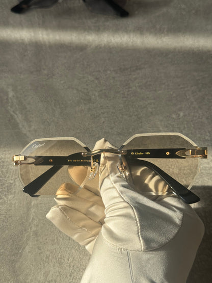 Transitional Acetate sunglasses