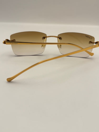 Panther Glasses