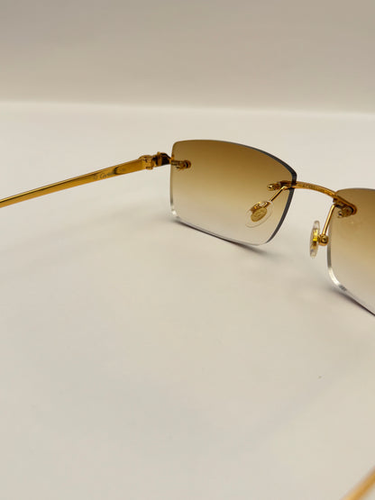 Panther Glasses