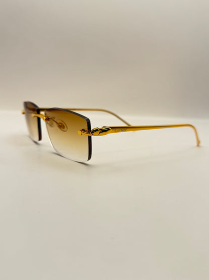 Panther Glasses