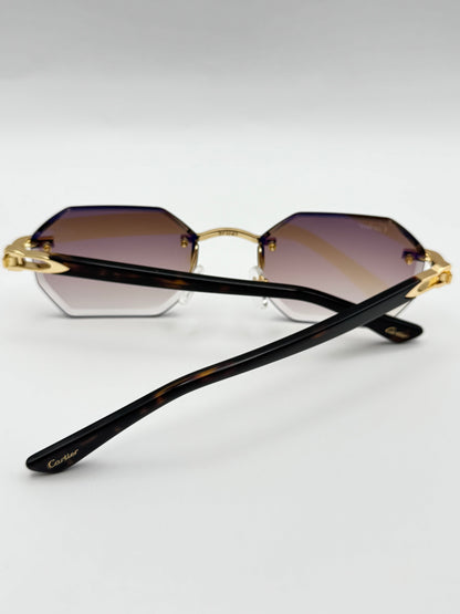 Acetate sunglasses