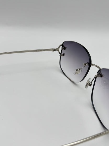 Big C wire sunglasses