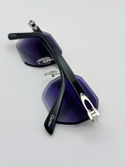 Acetate sunglasses