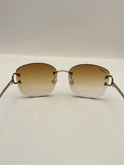 Big C wire sunglasses