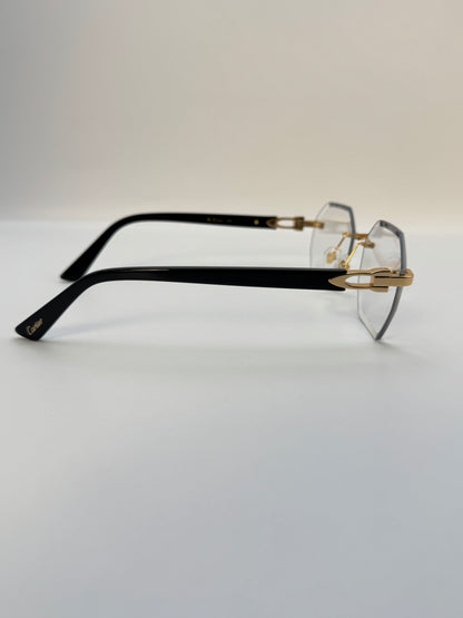 Transitional Acetate sunglasses