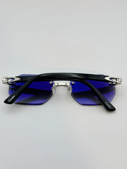Acetate sunglasses