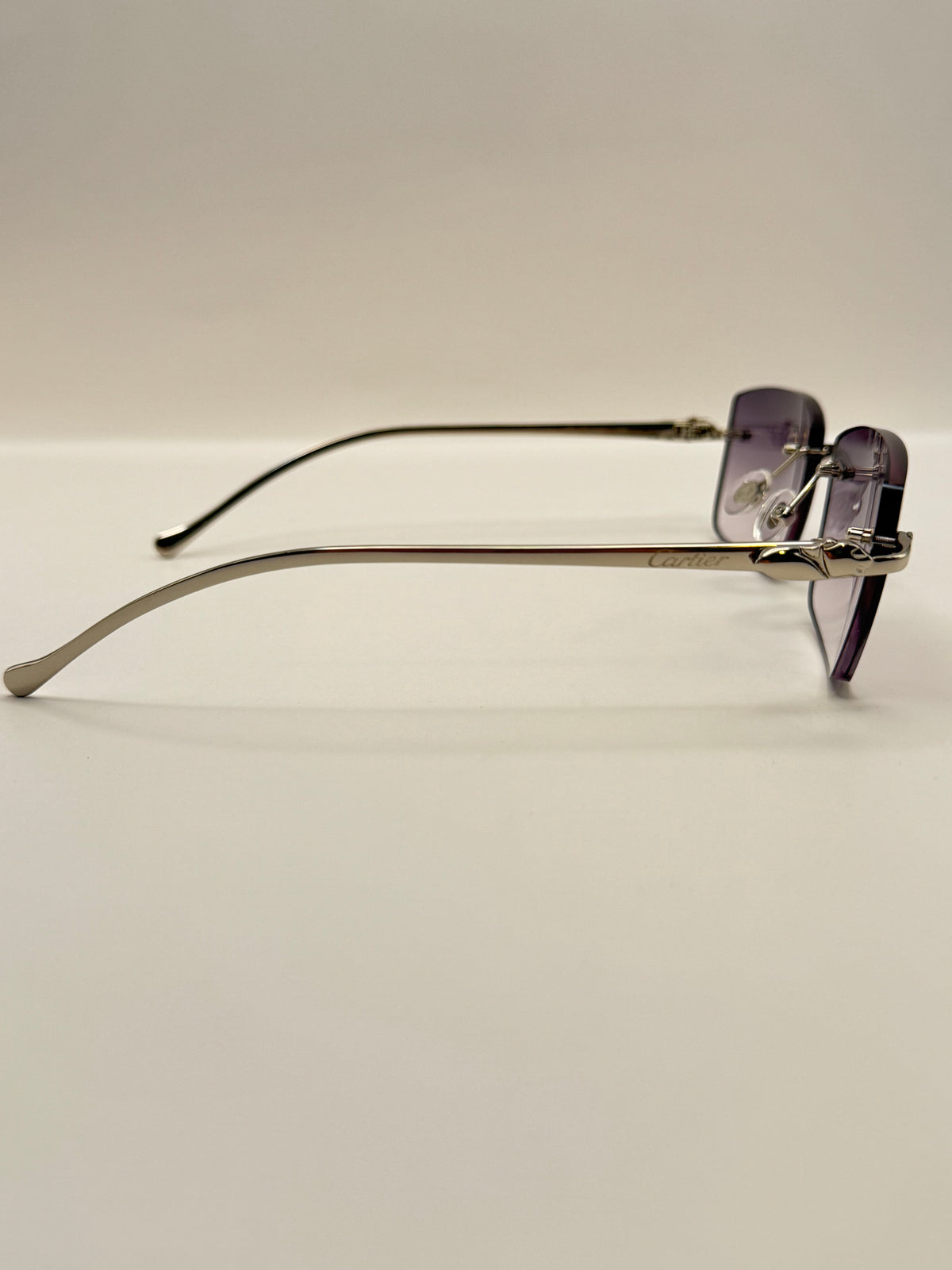 Panther Glasses