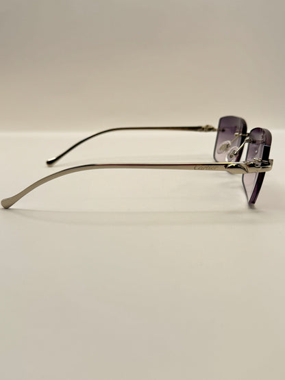 Panther Glasses